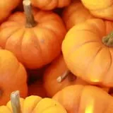 Washburn's Windy Hill Orchard photo