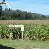 Washburn's Windy Hill Orchard photo
