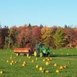 Washburn's Windy Hill Orchard photo