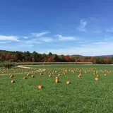 Washburn's Windy Hill Orchard photo