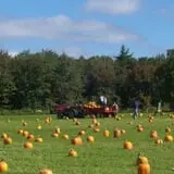Washburn's Windy Hill Orchard photo