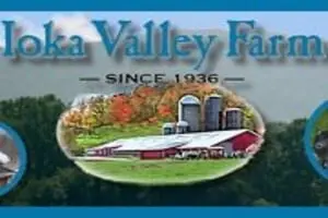Ioka Valley Farm Haunted House