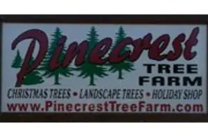Pinecrest Tree Farm