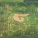 The Mid-South Maze photo