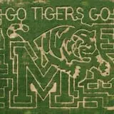 The Mid-South Maze photo