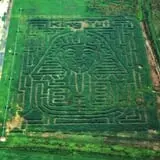 The Mid-South Maze photo