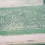 The Mid-South Maze photo