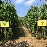 Klingel's Farm Corn Maze & Pumpkin Patch photo