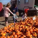 Klingel's Farm Corn Maze & Pumpkin Patch photo