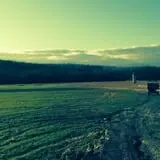 Klingel's Farm Corn Maze & Pumpkin Patch photo