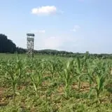 Klingel's Farm Corn Maze & Pumpkin Patch photo