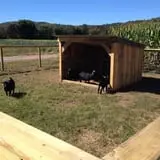 Klingel's Farm Corn Maze & Pumpkin Patch photo