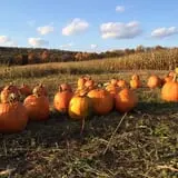 Klingel's Farm Corn Maze & Pumpkin Patch photo