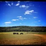 Klingel's Farm Corn Maze & Pumpkin Patch photo