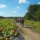 Legare Farms photo