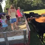 Legare Farms photo
