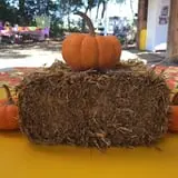 Legare Farms photo