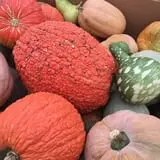 Legare Farms photo