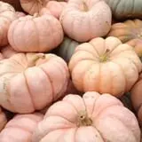 Legare Farms photo