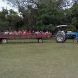 Legare Farms photo