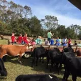 Legare Farms photo