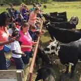 Legare Farms photo