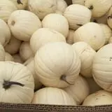 Legare Farms photo