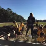 Legare Farms photo