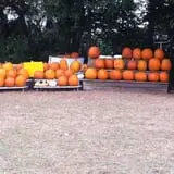 Legare Farms photo
