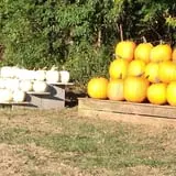 Legare Farms photo