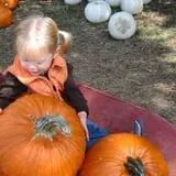 Legare Farms photo