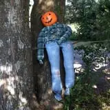 Legare Farms photo