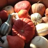 Legare Farms photo
