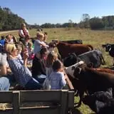 Legare Farms photo