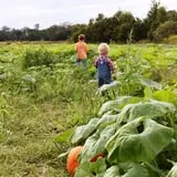 Legare Farms photo