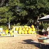 Legare Farms photo