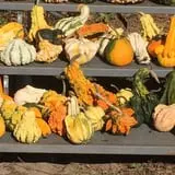 Legare Farms photo