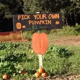 Legare Farms photo