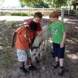 Legare Farms photo