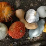 Legare Farms photo
