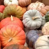 Legare Farms photo