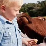 Legare Farms photo