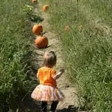 Legare Farms photo