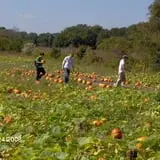 Legare Farms photo