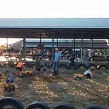 Honeysuckle Hill Farm Fall Festival & Corn Maze photo