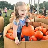Honeysuckle Hill Farm Fall Festival & Corn Maze photo