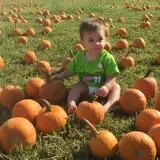 Honeysuckle Hill Farm Fall Festival & Corn Maze photo