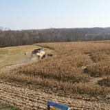 Honeysuckle Hill Farm Fall Festival & Corn Maze photo