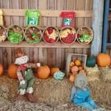 Honeysuckle Hill Farm Fall Festival & Corn Maze photo