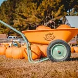 Honeysuckle Hill Farm Fall Festival & Corn Maze photo
